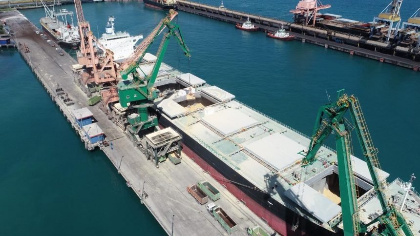 Krakatau International Port, Pelabuhan Curah Kering Terbesar di Indonesia