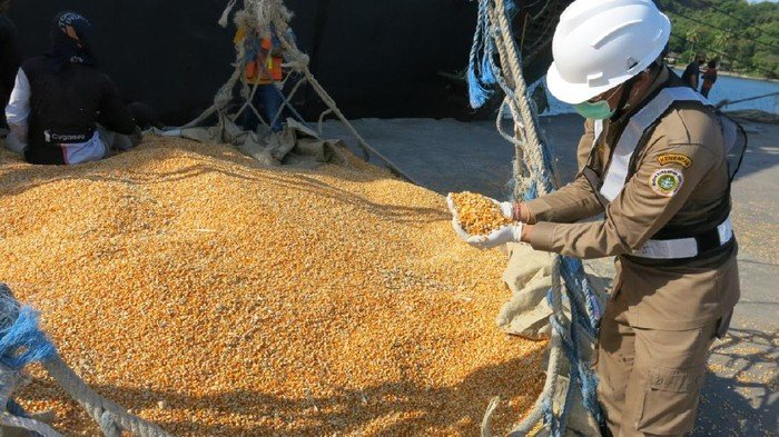 RI Mau Ekspor Beras ke Arab Saudi & Malaysia, Jagung ke Filipina